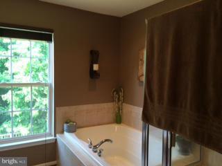 1231 Painted Fern Road Denton, MD 21629 - Photo 17 of 29 Master Bath