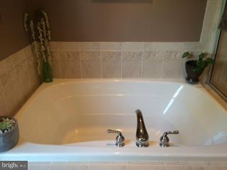 1231 Painted Fern Road Denton, MD 21629 - Photo 18 of 29 Master Bath