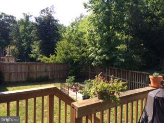 1231 Painted Fern Road Denton, MD 21629 - Photo 27 of 29 Fenced Backyard