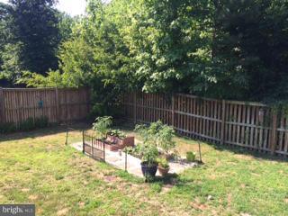 1231 Painted Fern Road Denton, MD 21629 - Photo 28 of 29 Vegetable Garden