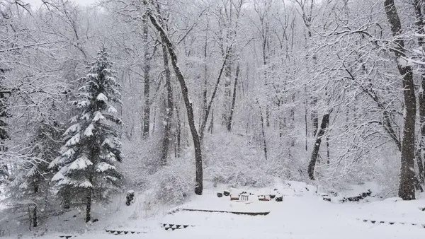 $729,000 | 104 Forest Oak Court, Winona, MN 55987