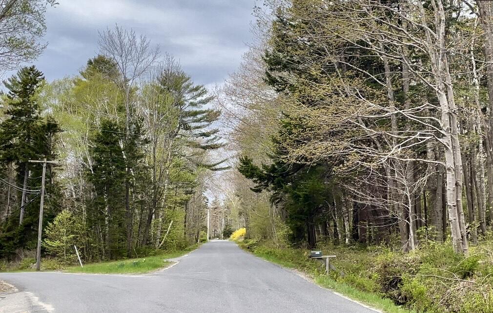 1 S Road Chebeague Island, ME 04017 - Photo 8 of 17 Summa fork in the road