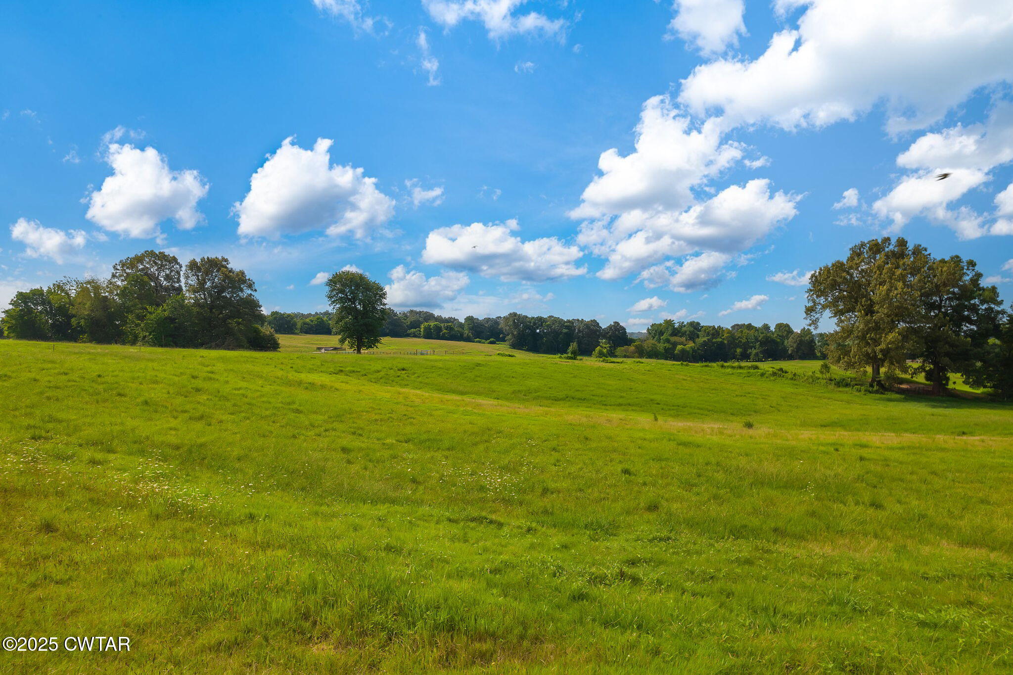 1644 Dr Conyers Road Friendship, TN 38034 - Photo 40 of 43 a view of a big yard with swimming pool yard and outdoor seating
