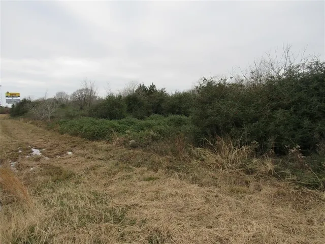 a view of a field with trees in the background