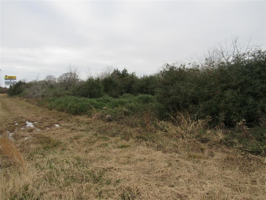 Tbd Tbd I-10 Frontage Road Cat Spring, TX 78933 - Photo 11 of 13 a view of a field with trees in the background