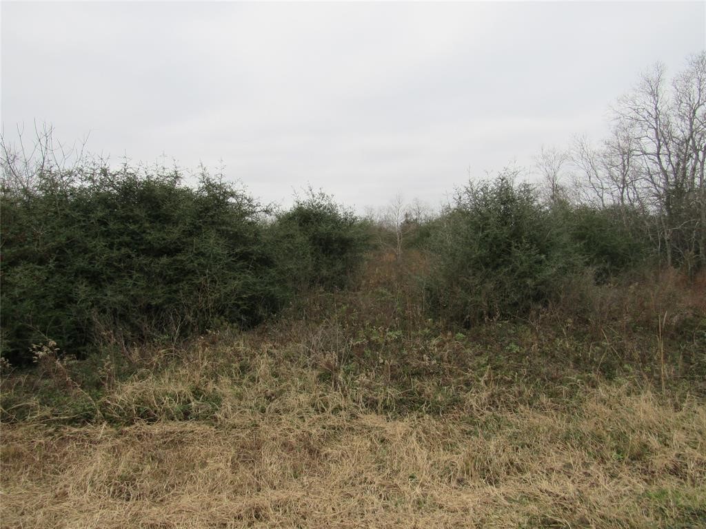 Tbd Tbd I-10 Frontage Road Cat Spring, TX 78933 - Photo 5 of 13 a view of a field with trees in the background