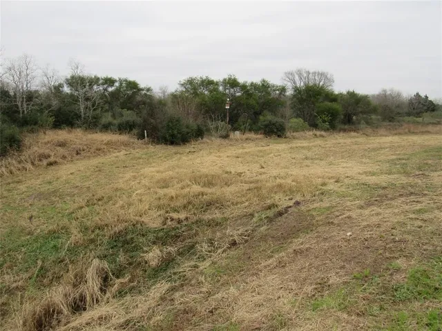 a view of a field with trees in the background