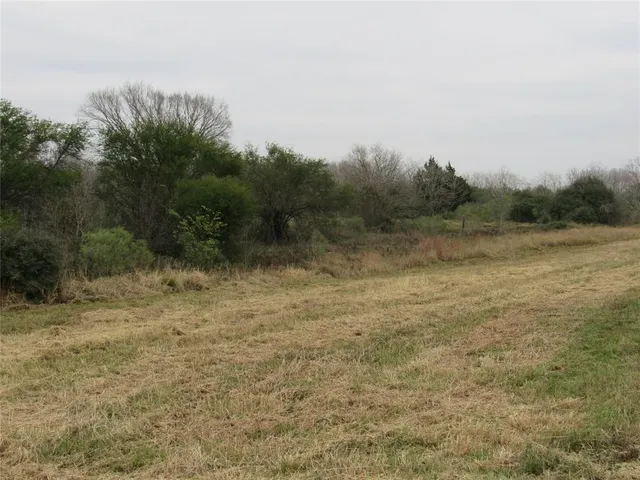 a view of a field with trees in background