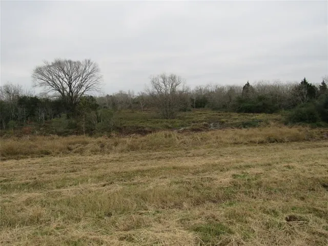 a view of a field with trees in background