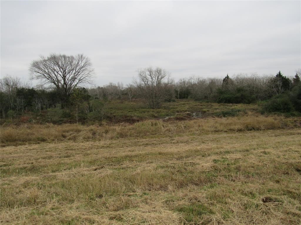 Tbd Tbd I-10 Frontage Road Cat Spring, TX 78933 - Photo 8 of 13 a view of a field with trees in background