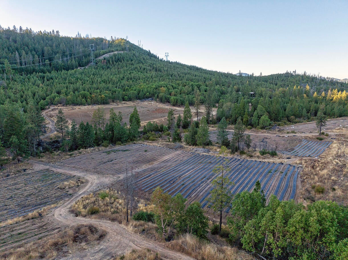 14738 Ramsey Road White City, OR 97503 - Photo 49 of 55 DJI_20241008174517_0104_D copy