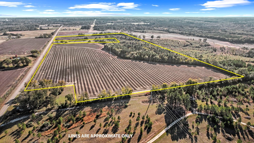 0 Gilley Mill Road Headland, AL 36345 - Photo 3 of 14