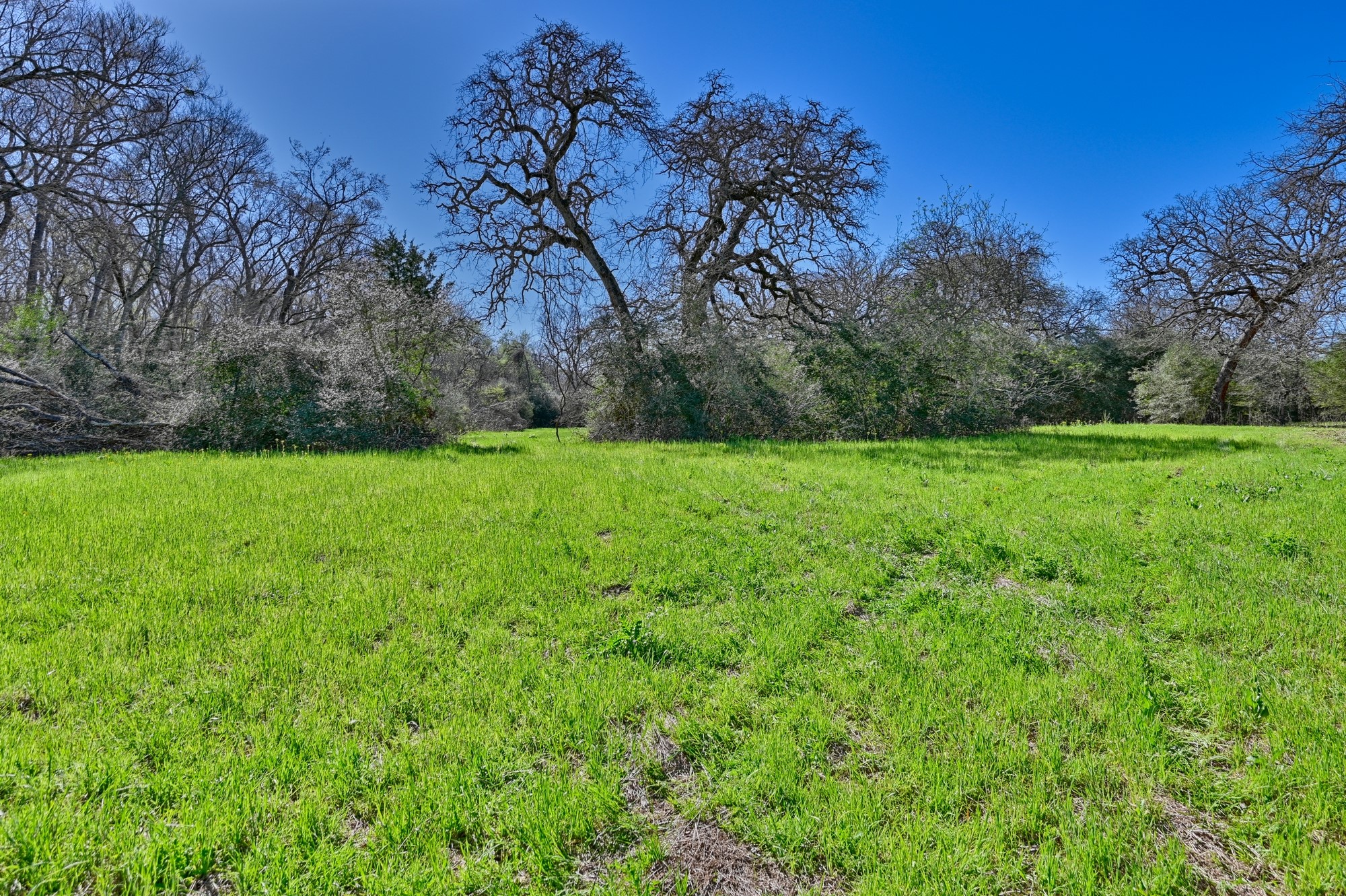 0 Zettel Road New Ulm, TX 78950 - Photo 8 of 11