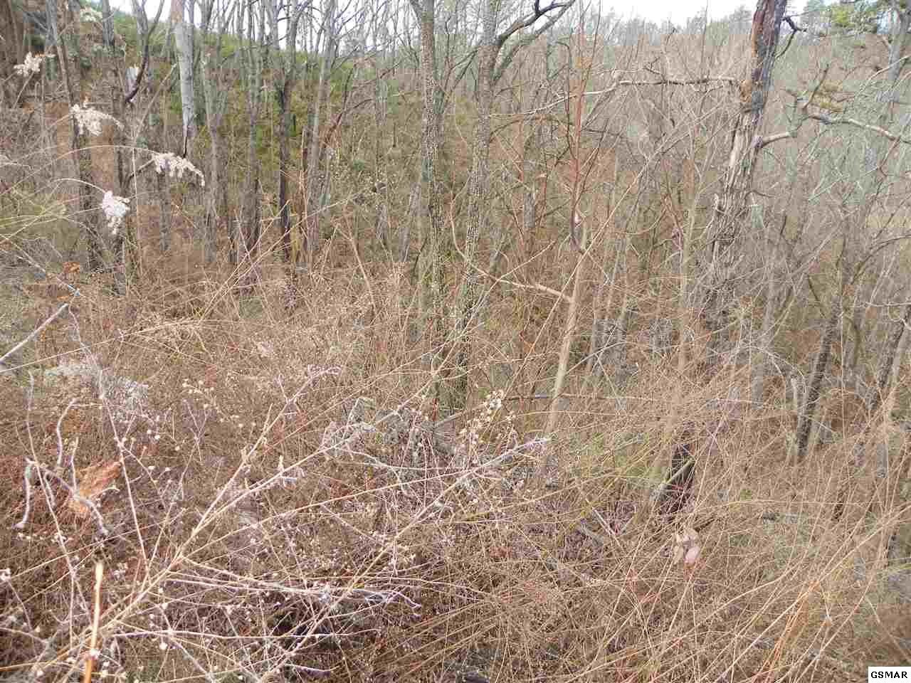 1985 Timber Ridge Way Sevierville, TN 37876 - Photo 2 of 5