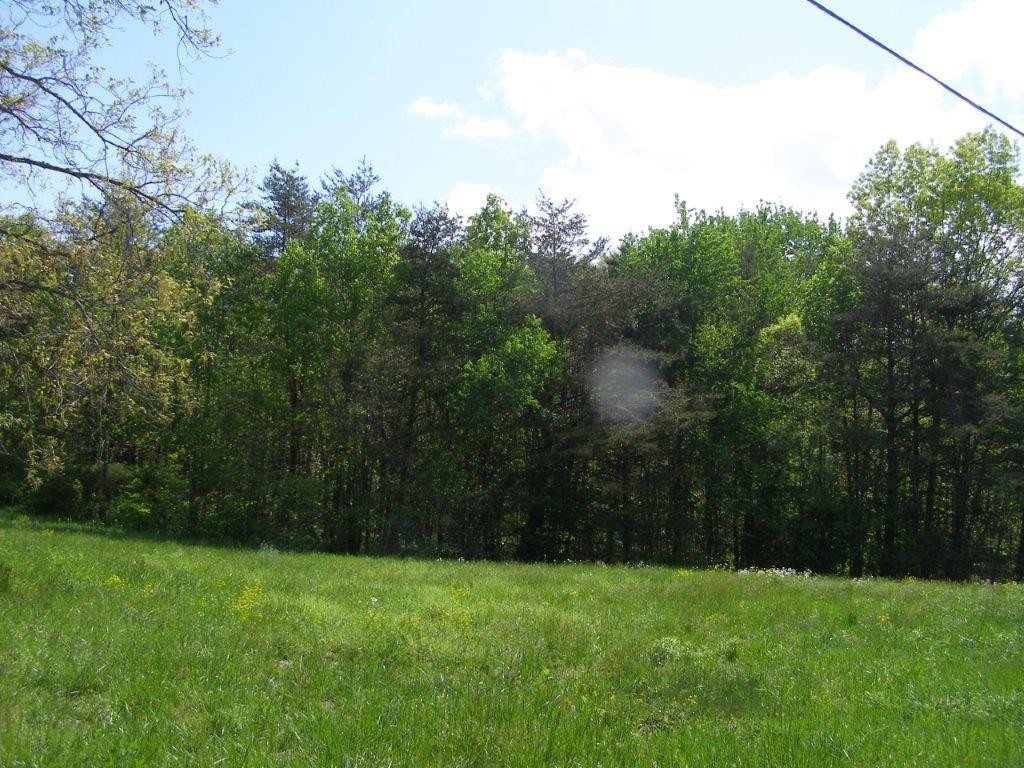 125 Ted Davis Road Crossville, TN 38572 - Photo 7 of 10 Gallery Image 7