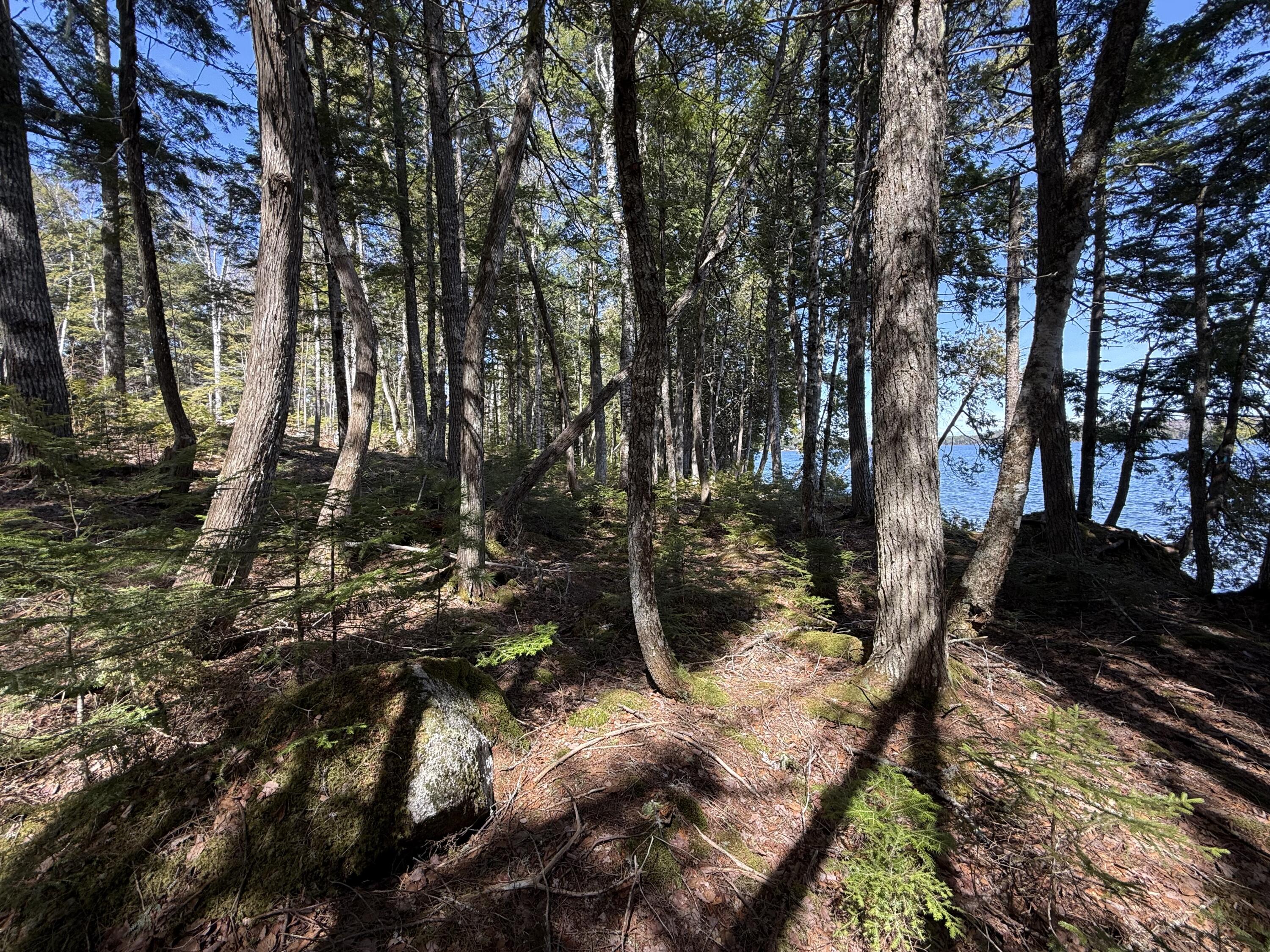 Lot 4 Chadwick Pt Road Weston, ME 04424 - Photo 29 of 30