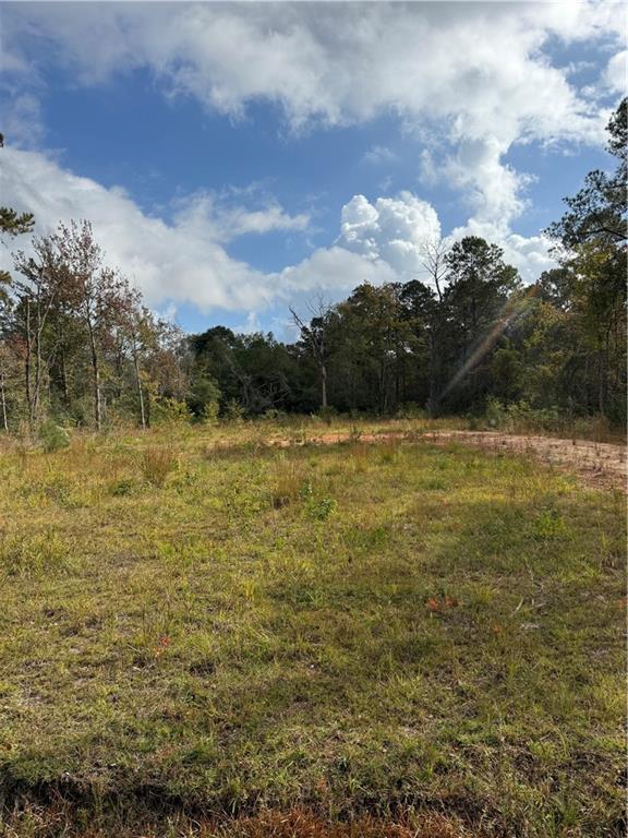 74628 Tantela Ranch Road Covington, LA 70435 - Photo 2 of 4