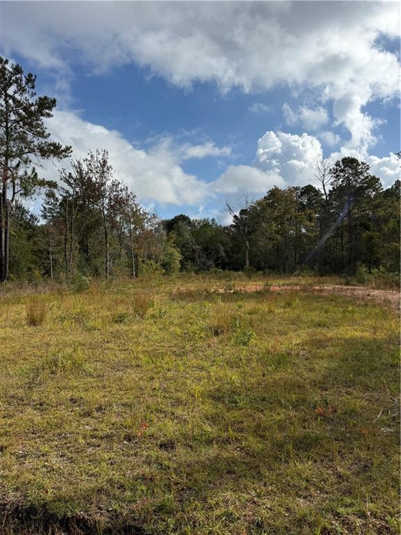74628 Tantela Ranch Road Covington, LA 70435 - Photo 3 of 4