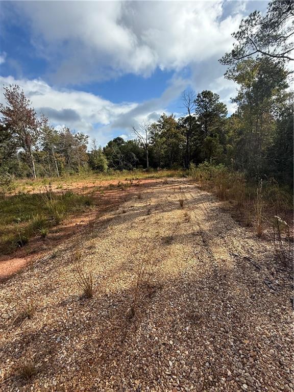 74628 Tantela Ranch Road Covington, LA 70435 - Photo 4 of 4