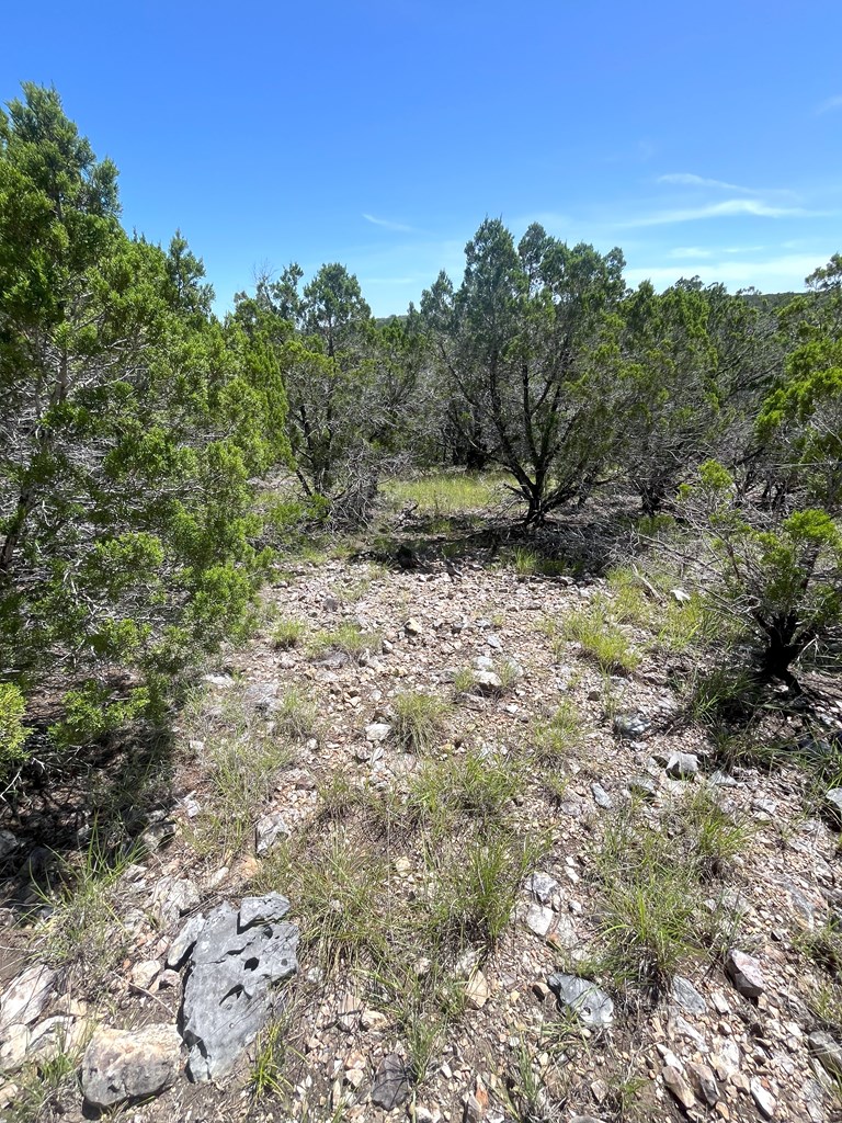 3835 Bluff Creek Road Leakey, TX 78873 - Photo 20 of 41