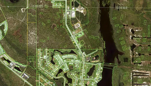 a close up of a plant in a garden