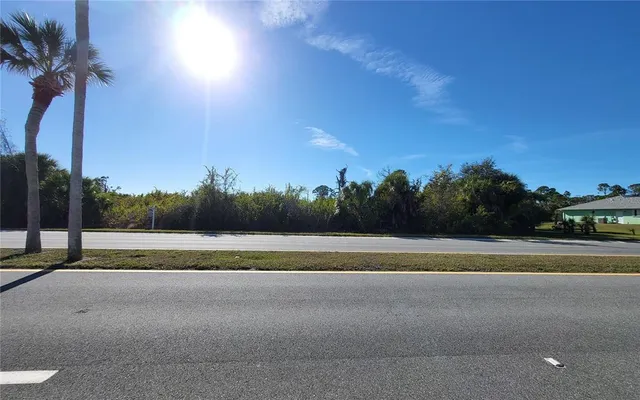 a view of a yard with palm tree