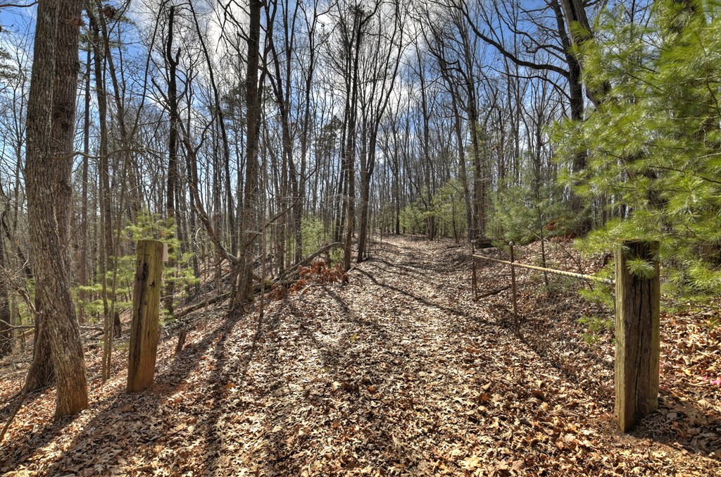 331 Chestnut Gap Road Blue Ridge, GA 30513 - Photo 35 of 44 Gallery Image 35