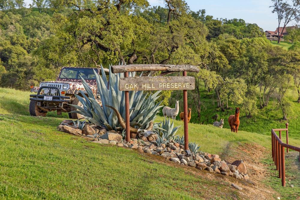 7270 Sutter Ione Road Ione, CA 95640 - Photo 2 of 87