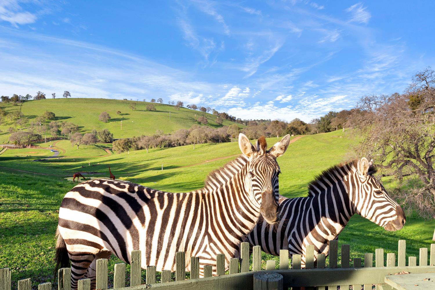 7270 Sutter Ione Road Ione, CA 95640 - Photo 4 of 87