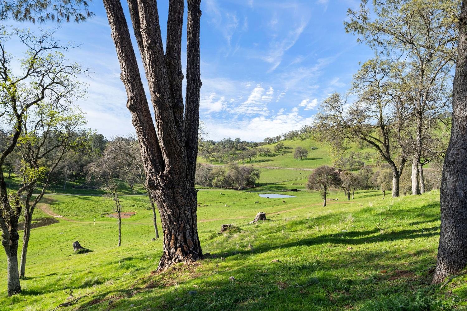 7270 Sutter Ione Road Ione, CA 95640 - Photo 48 of 87