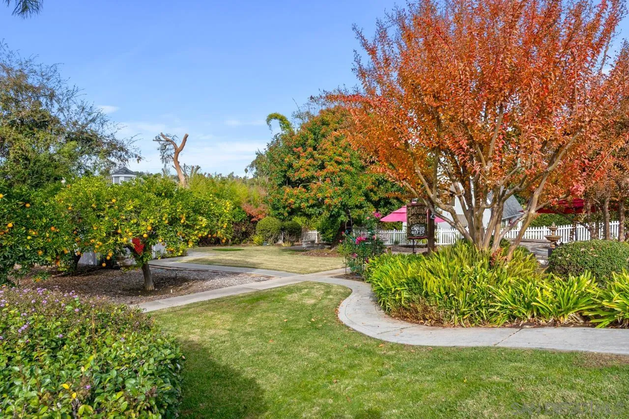 1346 El Nido Drive Fallbrook, CA 92028 - Photo 48 of 75 a view of a garden with large trees