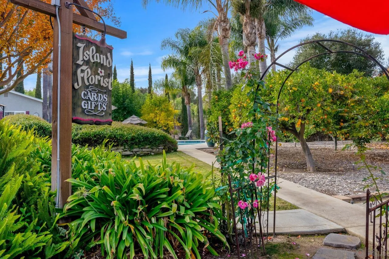 1346 El Nido Drive Fallbrook, CA 92028 - Photo 69 of 75 a flower plants in front of a building