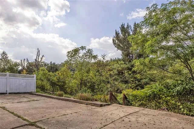 a view of a yard with plants and trees