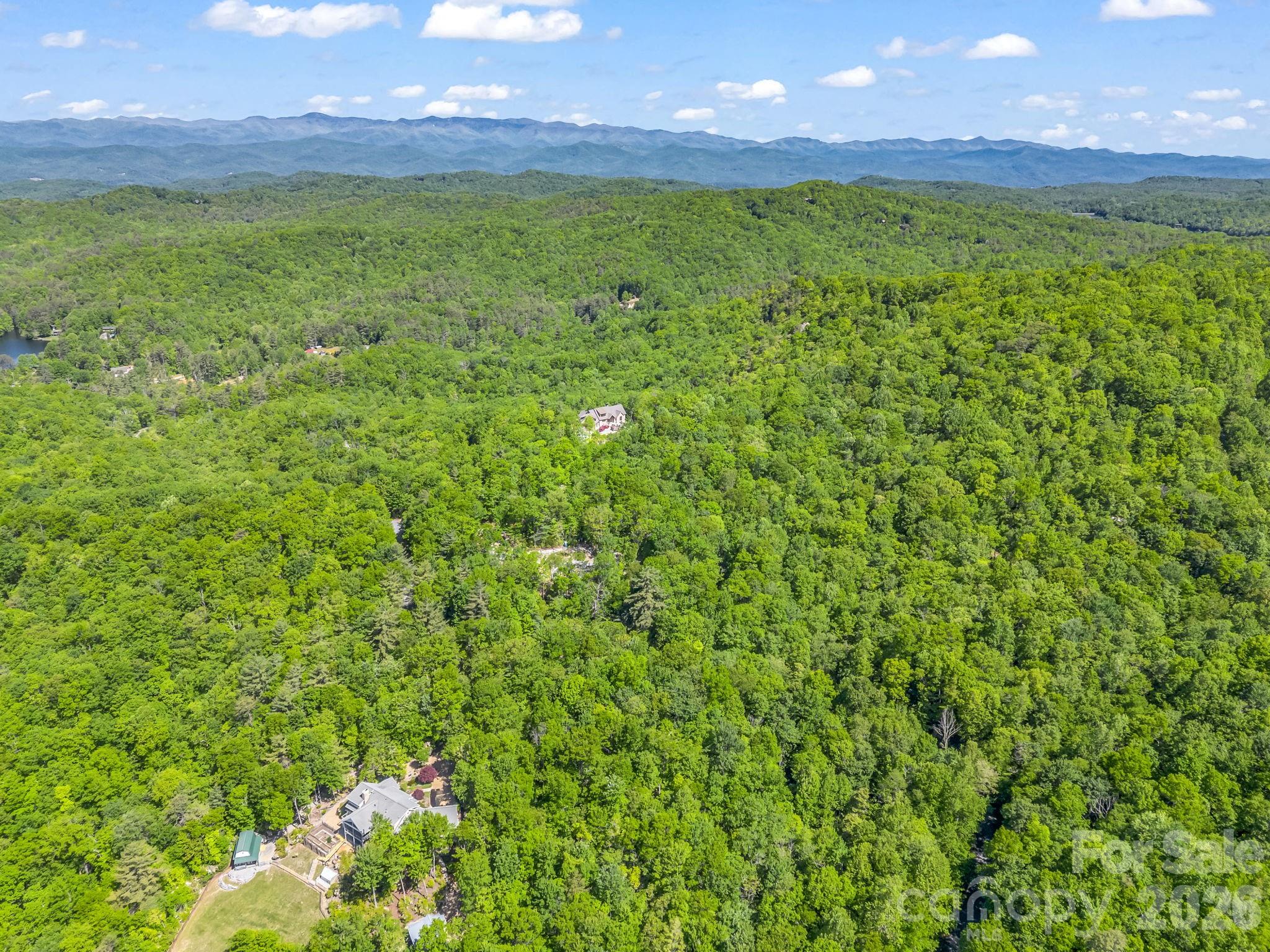 352 Big Hill Road Brevard, NC 28712 - Photo 12 of 31