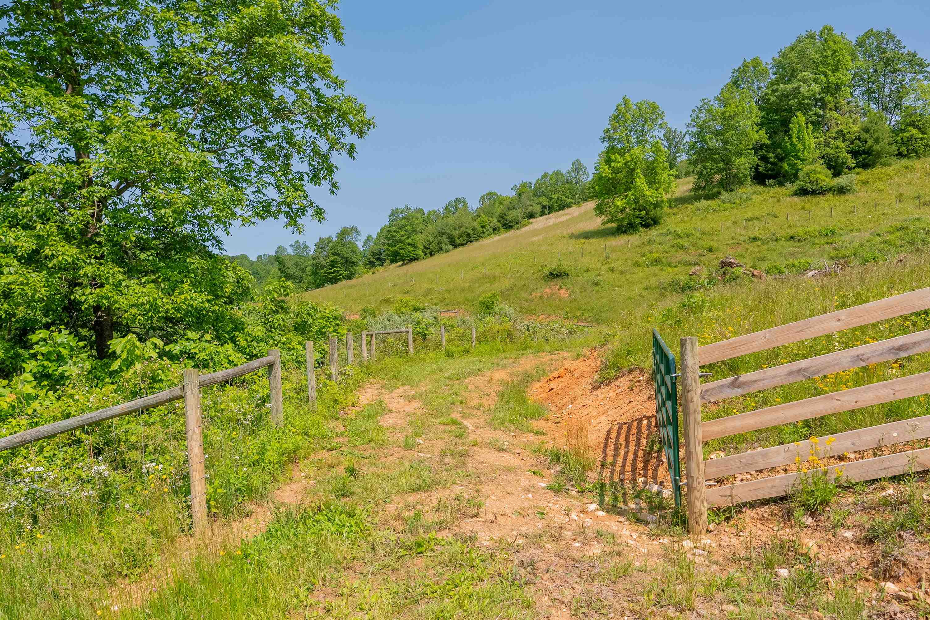 Tbd Tbd Gibson Knob Road Laurel Fork, VA 24352 - Photo 56 of 65 Gallery Image 56