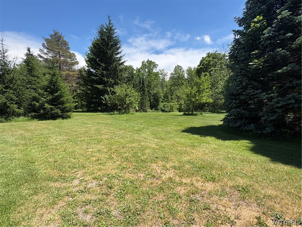 3489 Creek Road Porter, NY 14174 - Photo 26 of 31