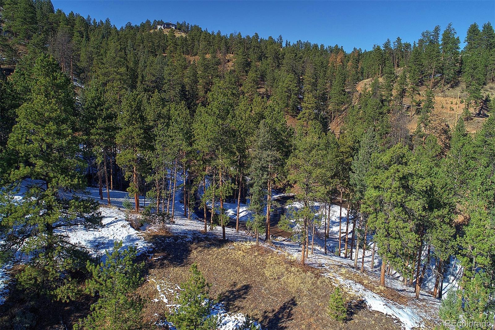 6 Turret Peak Road Pine, CO 80470 - Photo 11 of 15 a view of a forest with trees