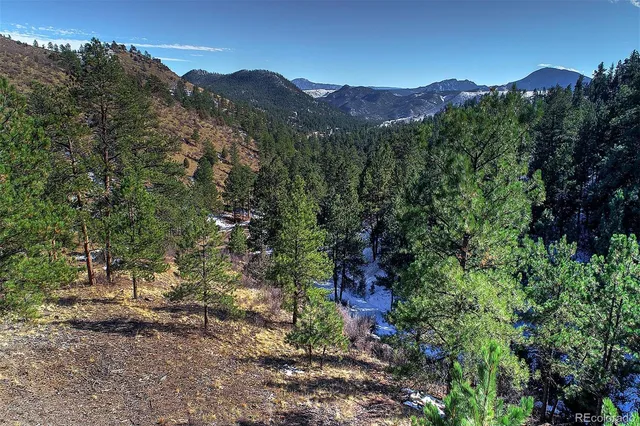 a view of a forest with a mountain in the background