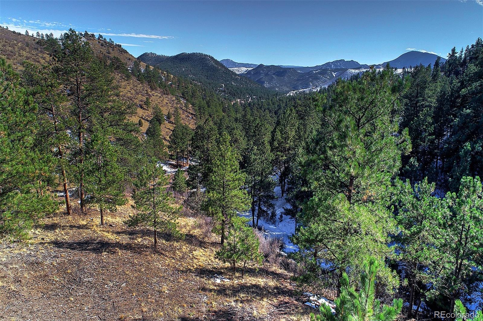 6 Turret Peak Road Pine, CO 80470 - Photo 12 of 15 a view of a forest with a mountain in the background
