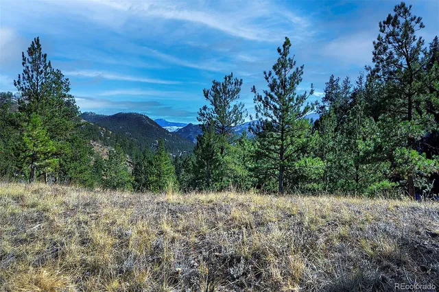 a view of a yard with a tree