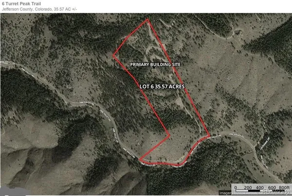 a view of a plant in a park