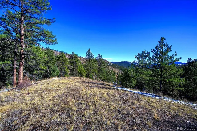 a view of a yard with a tree
