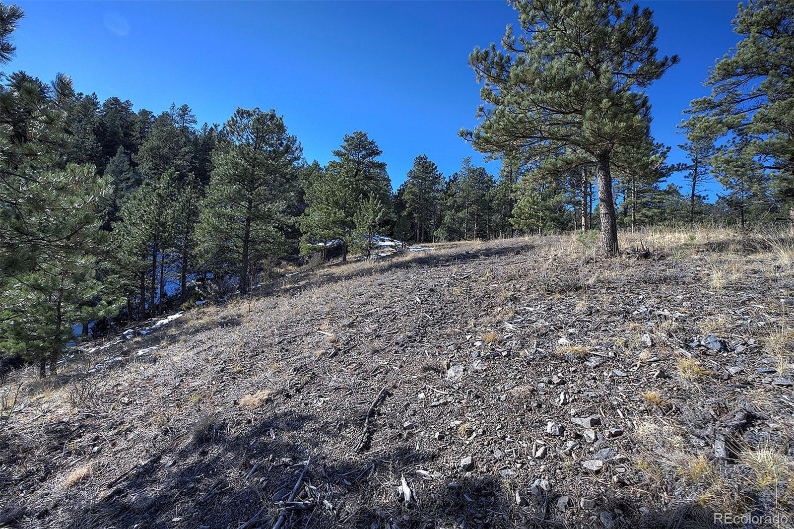 6 Turret Peak Road Pine, CO 80470 - Photo 4 of 15 a big yard with lots of green space