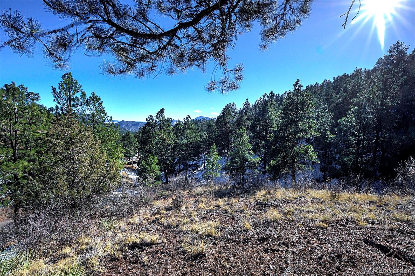 6 Turret Peak Road Pine, CO 80470 - Photo 6 of 15 a view of a yard