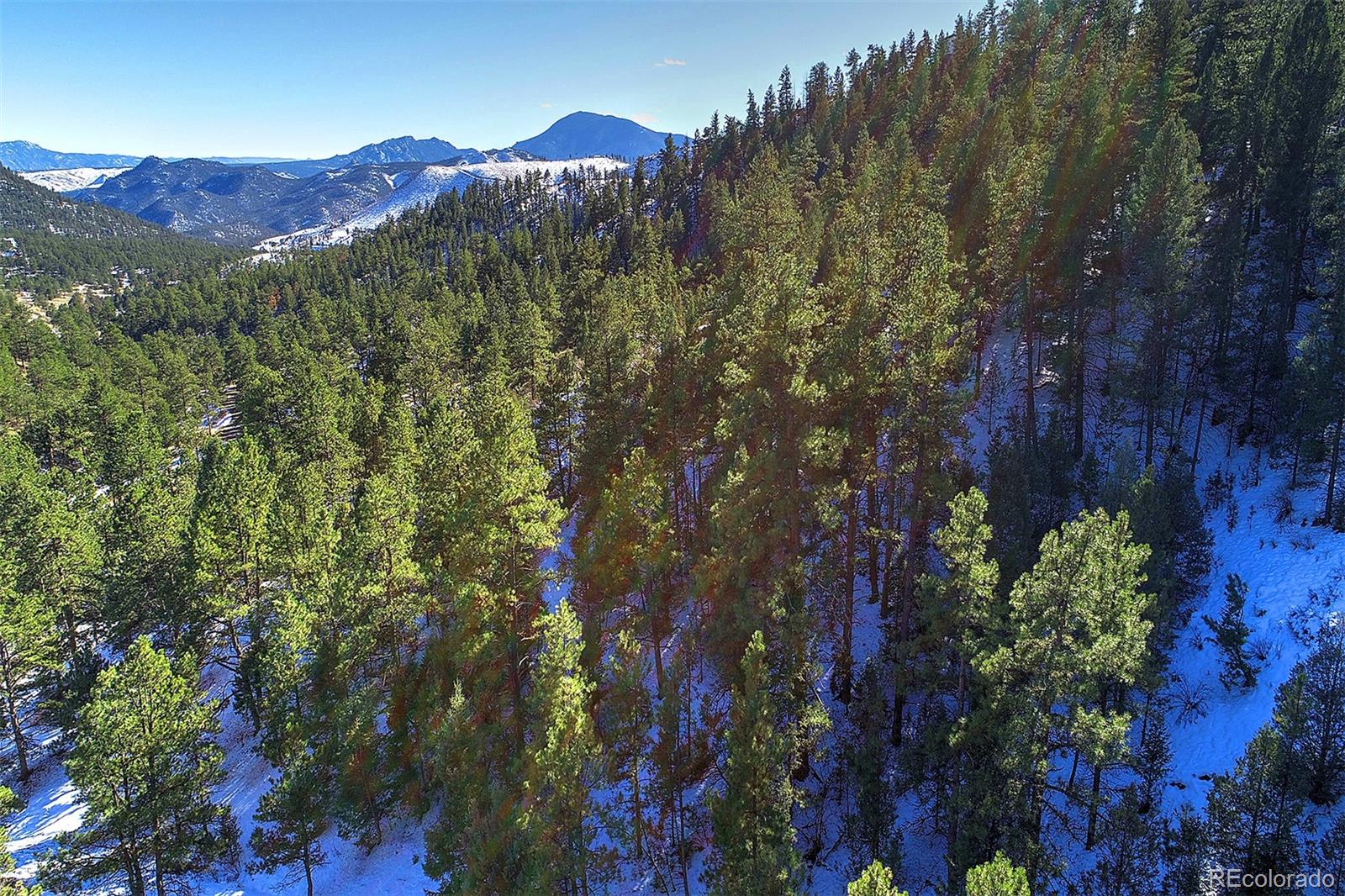 6 Turret Peak Road Pine, CO 80470 - Photo 7 of 15 a view of a lot of trees and houses