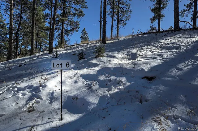 a view of a yard with wooden fence