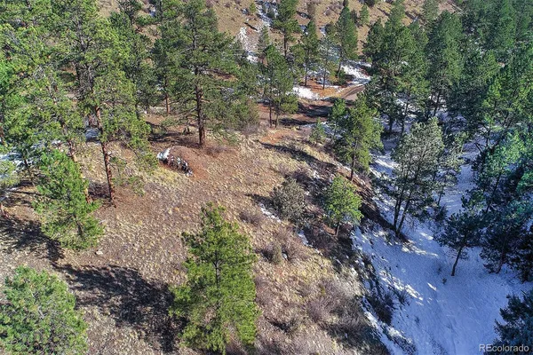 a view of a city with lush green forest