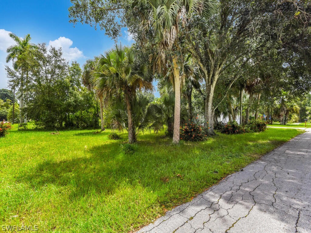 915 Alderman Street Fort Myers, FL 33916 - Photo 20 of 20 a view of a park with large trees