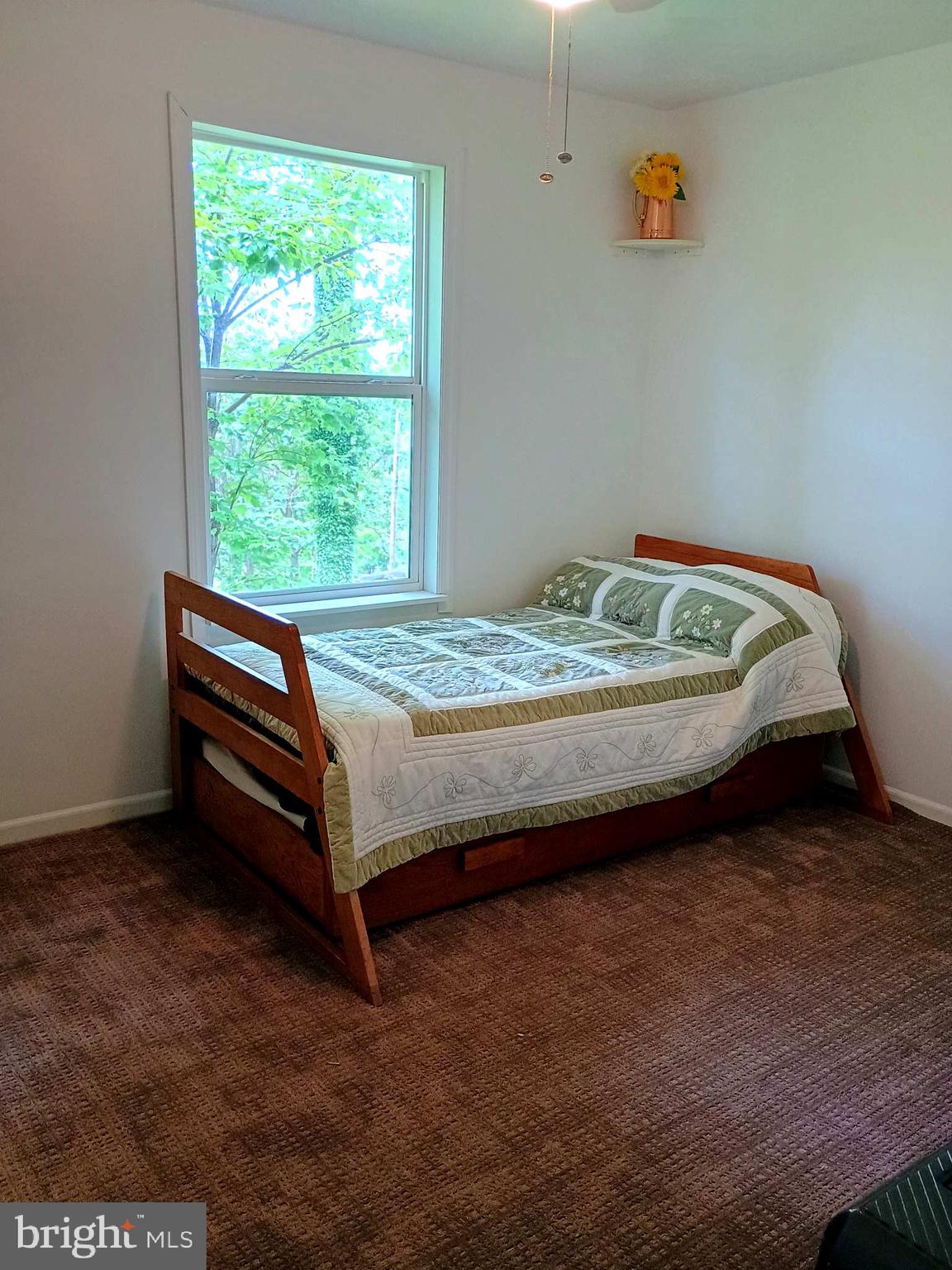 147 Blue Ridge Avenue Chester Gap, VA 22623 - Photo 22 of 46