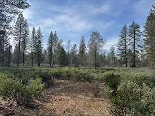 a view of a city with lush green forest